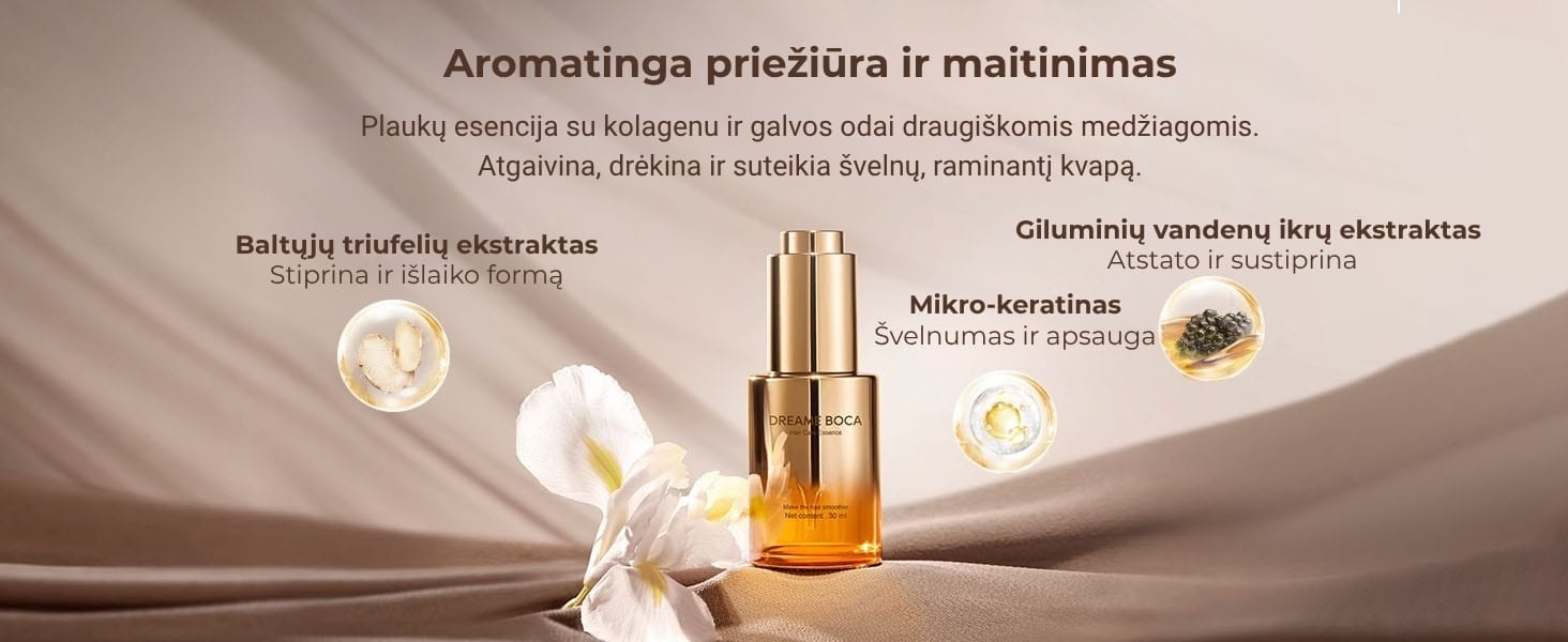 Dreame Miracle Pro plaukų džiovintuvas | Techzona: autorizuotas Dreame Technologies partneris