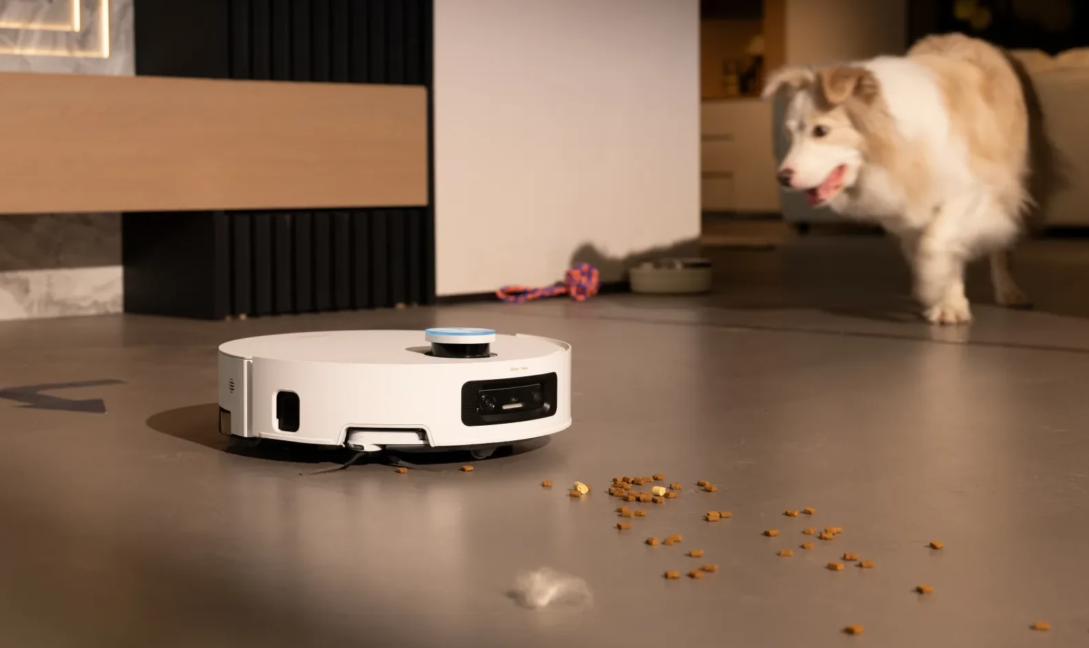 Robotas surenka pabirusį maistą nuo grindų šalia šuns