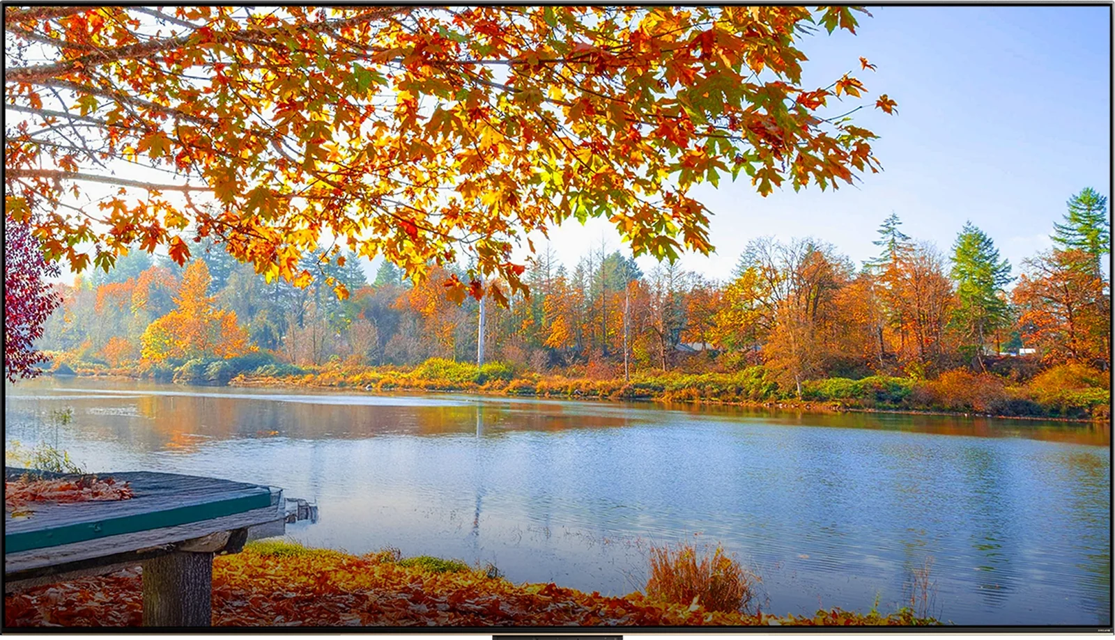 Rudens peizažas prie ežero DREAME Aura Mini LED S100 ekrane, be D-AI apdorojimo