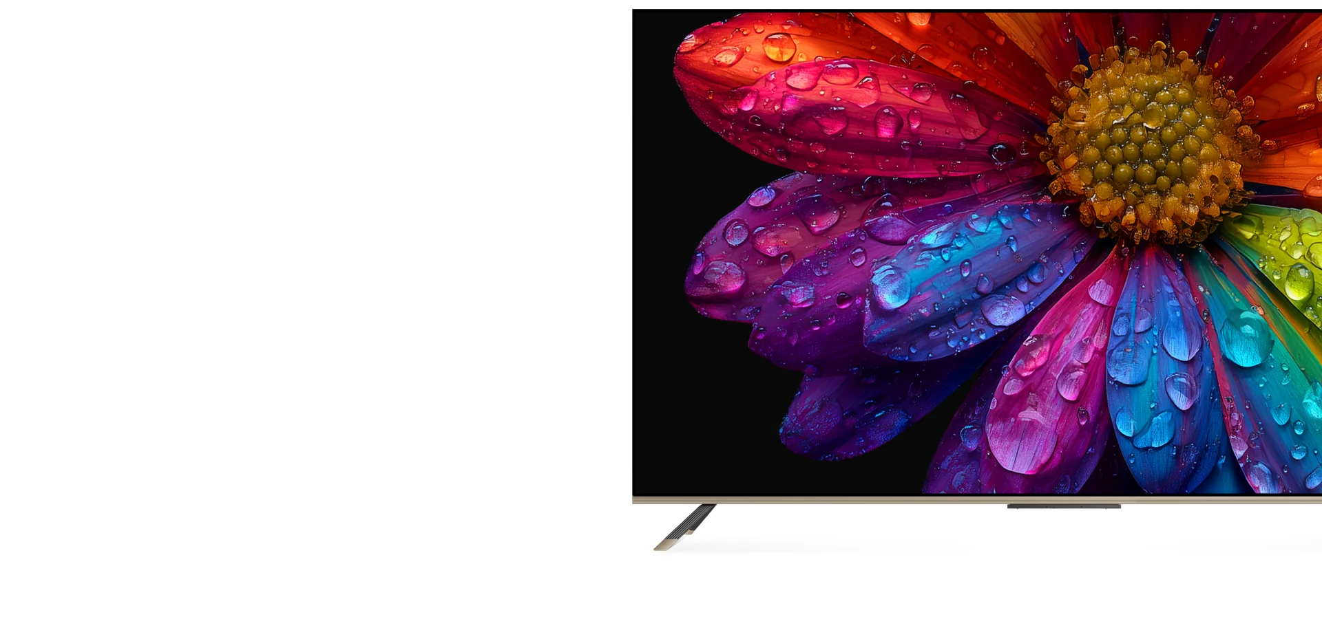 DREAME Vivid QLED Q100 televizorius, ekrane spalvota gėlė