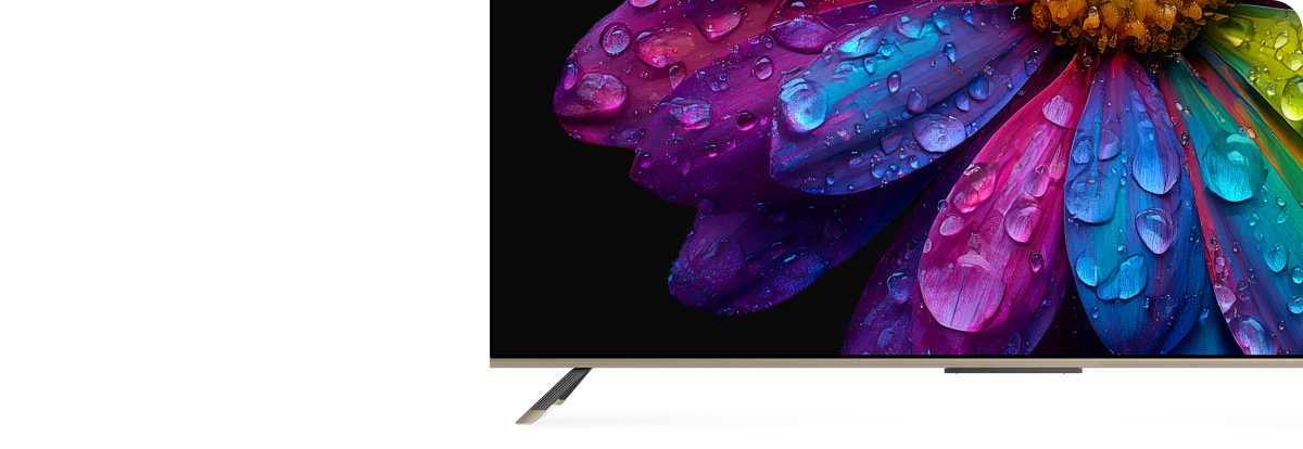 DREAME Vivid QLED Q100 ekranas rodo ryškių spalvų gėlę