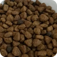 Gyvūnų ėdalas