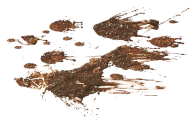 Purvas